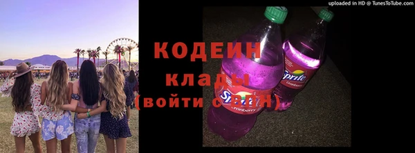 ECSTASY Алзамай