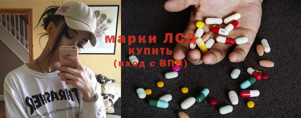 ECSTASY Алзамай